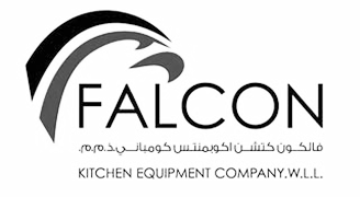 falcon logo